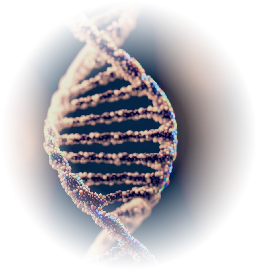 DNA-Doppelhelix