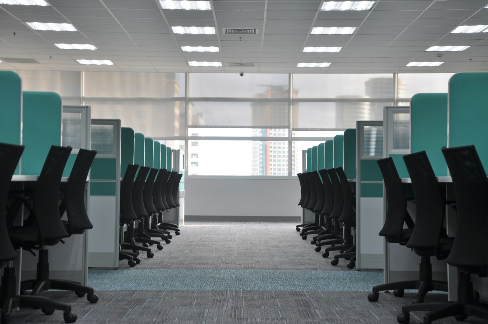 Rows of empty office chairs at vacant cubicles